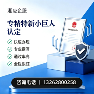 榆林专精特新小巨人申报服务