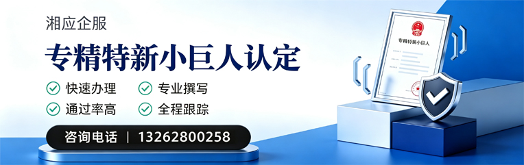 榆林专精特新小巨人申报服务